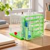 Underground Crawler House Clear Acrylic Habitat Transparent Formicarium for Educational