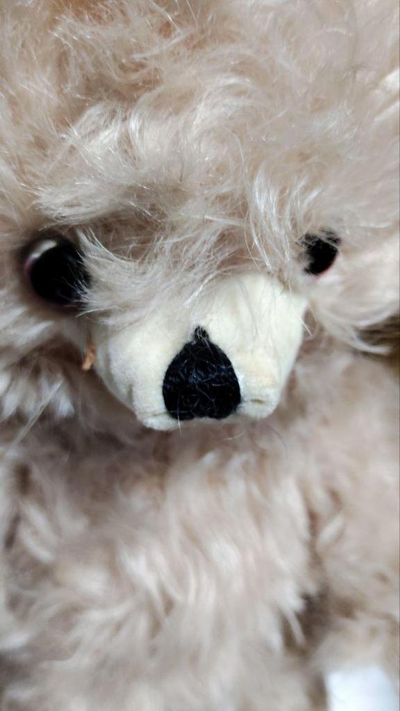 [USED] Merrythought Company Cheeky Teddy Bear, exclusive to the Tateshina and Nasu Teddy Bear Museum