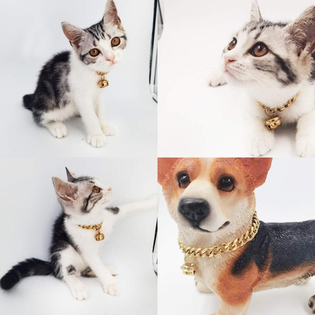 18K Gold Cat Dog Collar Kitten Puppy 1/2inch 12mm Wide Stainless Steel Kitten Choker Curb Chew Proof Cuban Link Chain with Bell (Neck Fit 6"-8")