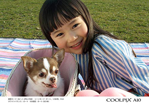 Nikon Digital Camera COOLPIX A10 Silver Optical 5x Zoom 16.14 Megapixels [Battery Type] A10SL