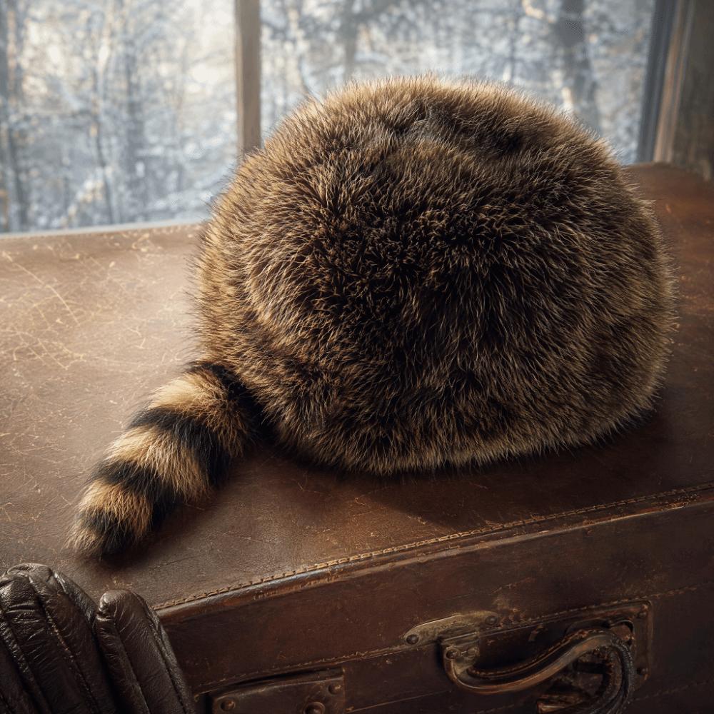 Verdikte Wasbeerstaart Hoed Comfortabele Oorbescherming Hoed Nieuwe Winterhoed Winter Herfst