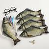 Cartoon Large Capacity Pen Bag Simulated Crucian Carp Multifunctional Pencil Case Stationery Organizer Student