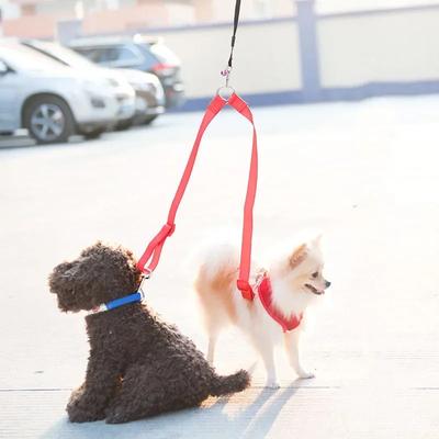 Çift Baş Tasma Çift Köpek Pet Ayarlanabilir Tasma Naylon Tüm Mevsimler Yavru Köpek Tasmaları Tasmalar