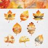 JIANWU Leaf Viewing Series Vintage Maple Leaf Scene Landscape Material Collage Scrapbook Sticker Creative DIY Journal Stationery