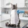 Soft Material Cat Recovery Clothes Breathable Fabric Cat Protective Vest  Weaning Period
