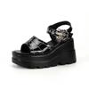 Summer Gothic Platform Sandals Punk Style Babes 9cm Spider Web Embroidered Spider Buckle Women's Shoes