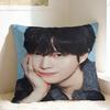 Pillow Case YYoungdae Kim Soft Pillow Cover For Couch Sofa Bedroom Fashion Pillowcases