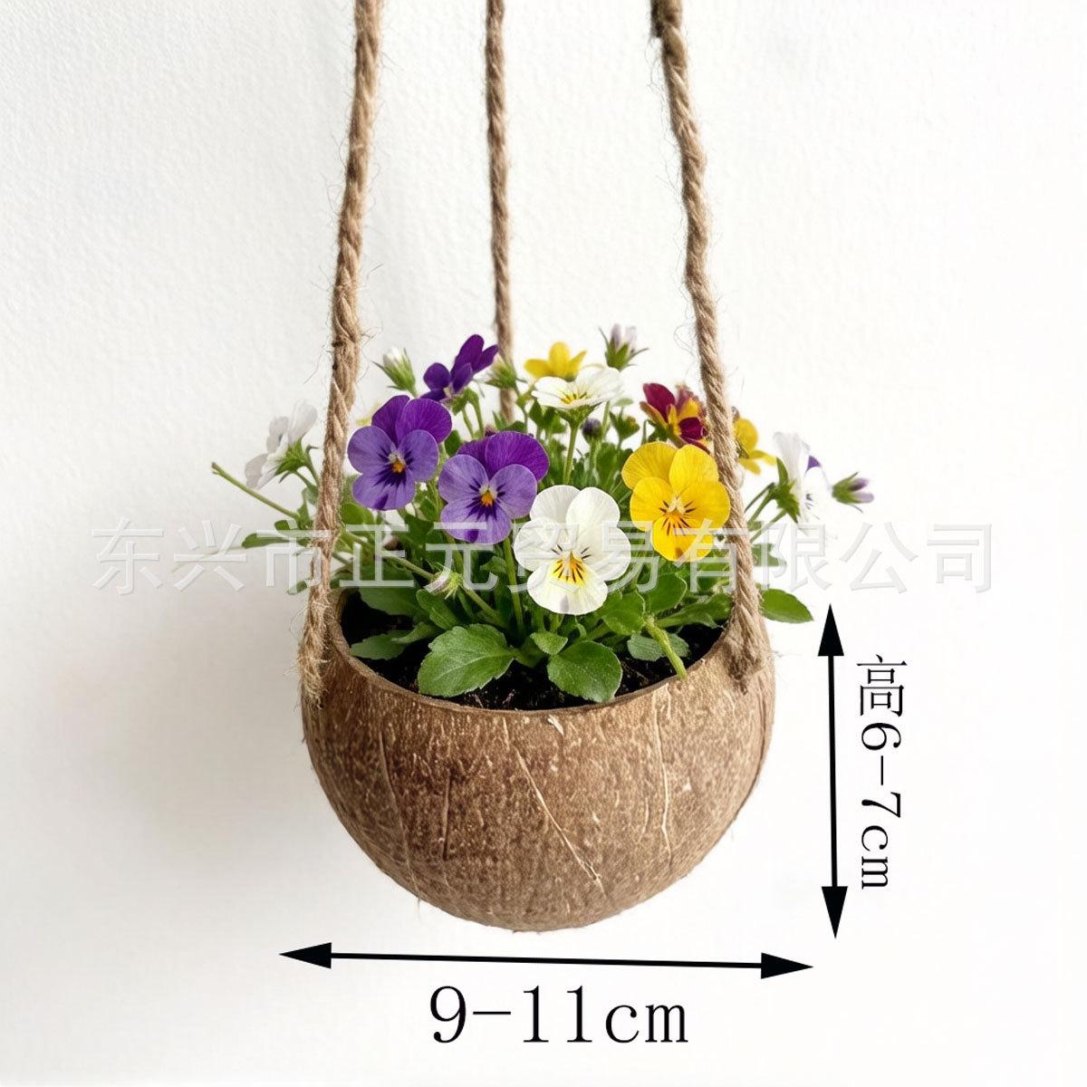Natural coconut hanging basket Coconut shell flower pot Coconut shell hand polished flower basket Plant potted container Pastoral art restaurant