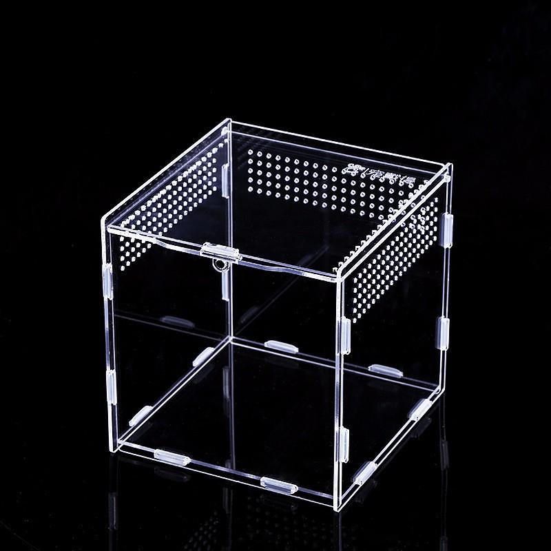 Acrylic Reptile Terrarium Kit Arboreal Pets Spider Housing Transparent Assembly Box