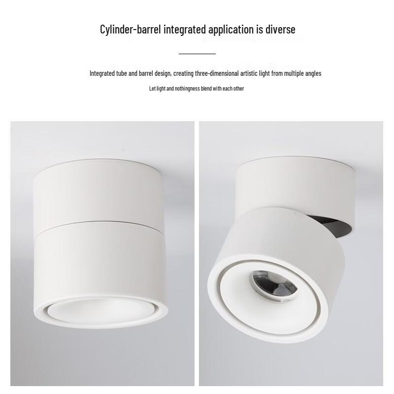 Oeny Surface-Mounted Foldable LED Spotlight