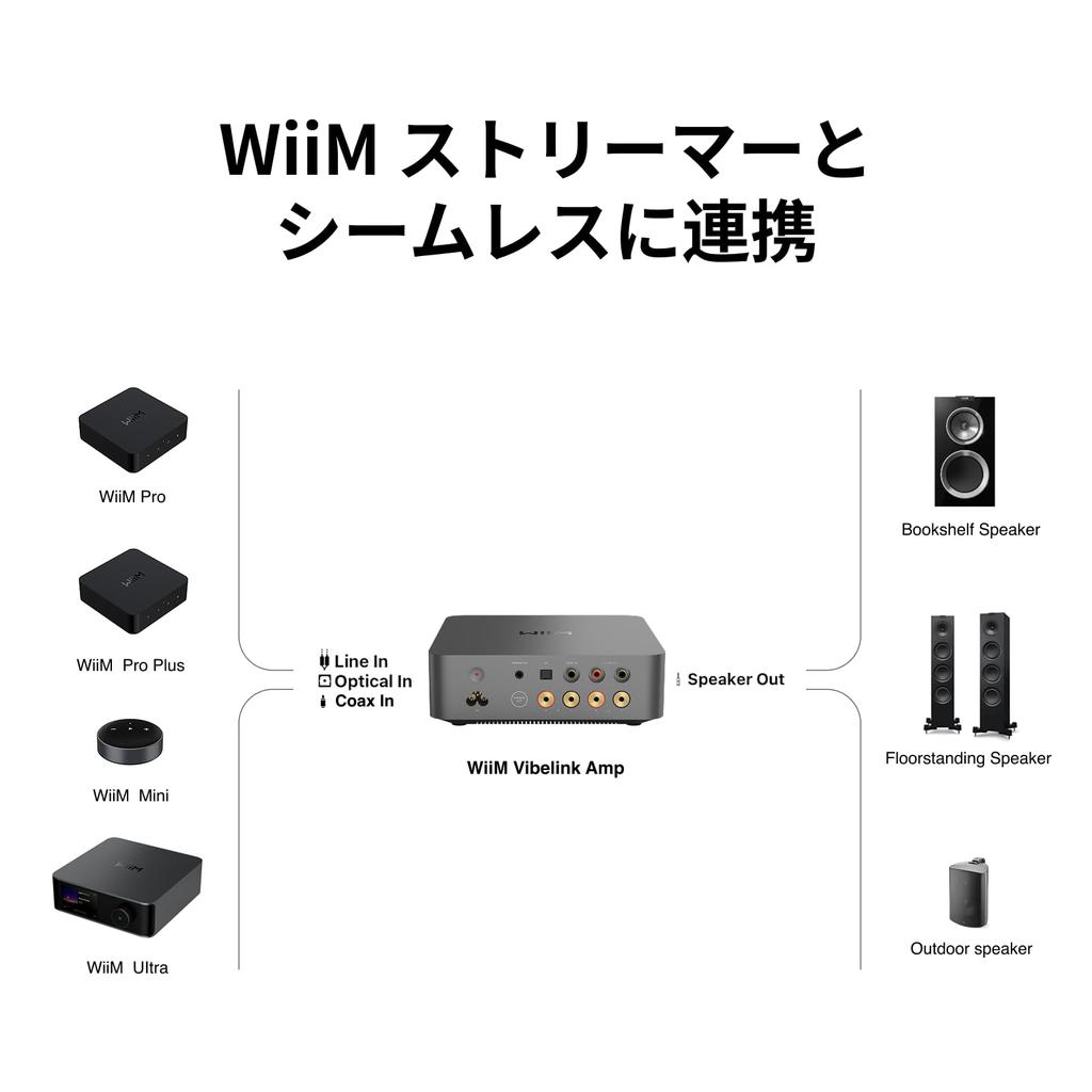 WiiM Vibelink Amp 100W Power Amplifier ESS 9039Q2M DAC TI TPA3255 Compatible with WiiM Digital Inputs Space Gray [Direct Import] & Mini/Pro/Pro
