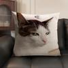 Meme Cat Funny Cushion Cover Natural Linen Organic Fabric Double-Sided Printing Sofa Home Decor Gift Pillow Case