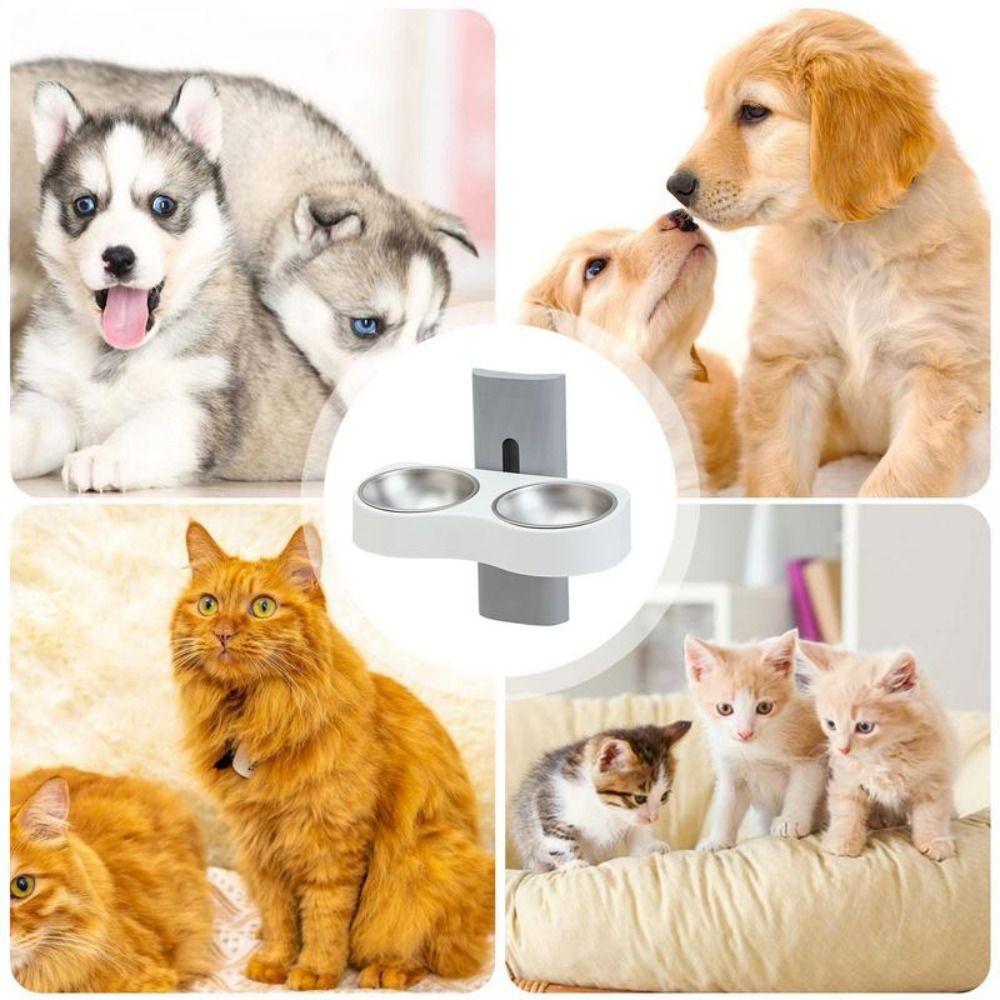Space Saving Cats Watering Bowl Double Bowl Pet Feeding Bowl Dog Eatting Bowl  for Small Dogs