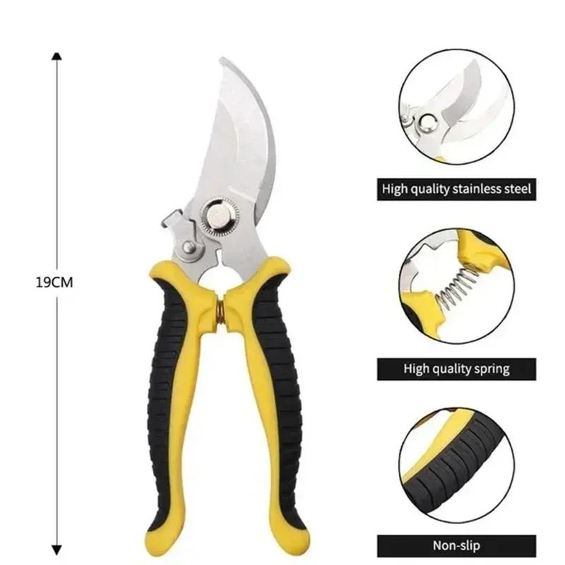 Bird Beak Pruning Shears – Stainless Steel Garden Scissors for Branch & Fruit Cutting