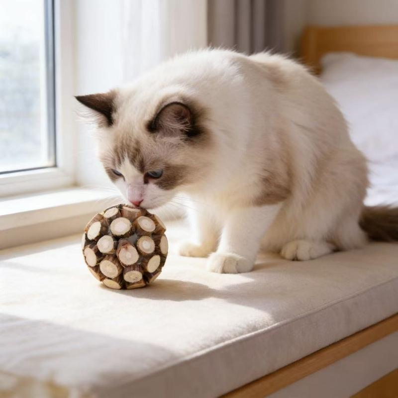 Katzenminze-Stab-Ball Haustier-Katze Zähneknirschen Spielzeug Natürliches Holz Knöterich-Stöcke Kätzchen Zähne Reinigen Spielzeug Haustier-Katze Kauspielzeug