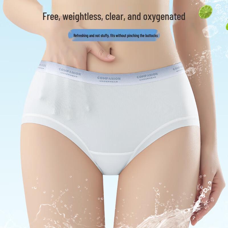 Audifen Women's Seamless Ice Silk Antibacterial Briefs (4-Pack)