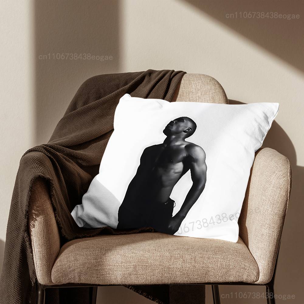 F-Frank S-Singer Pillow Case Living Room Sofa Cushion Cover Suitable For Home Bedroom Decoration And Protector