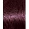 48ml Loréal Paris Casting Creme Gloss, 316 Prune, Couleur Cheveux