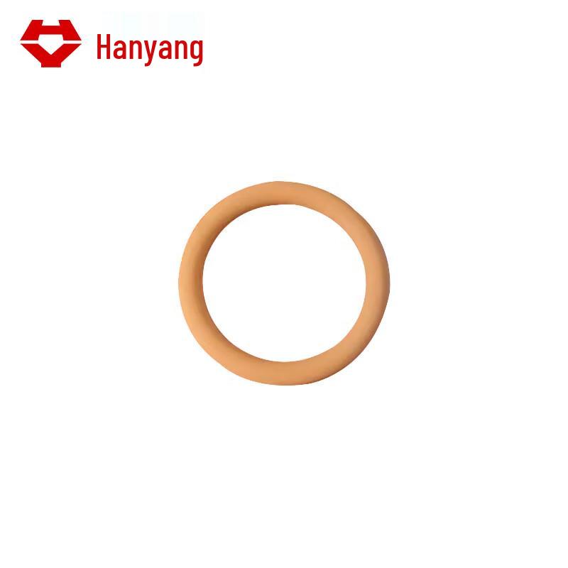 Hanyang HY5270 Actuator Seal Gasket F022027015