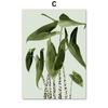 Green Plant Monstera Scallop Boho Abstract Flower Nordic Wall Art Canvas Painting Posters Prints Pictures for Living Room Decor No Frame