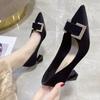 Women's Gentle High Heels Spring 2025 New Design Temperament Thick Heel Pointed Not Tired Feet Single Shoes Women's Summer