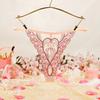 Thin Belt Sexy Mesh Thongs Cotton Crotch Transparent T-Pants Lace Embroidered Panties  Anniversary