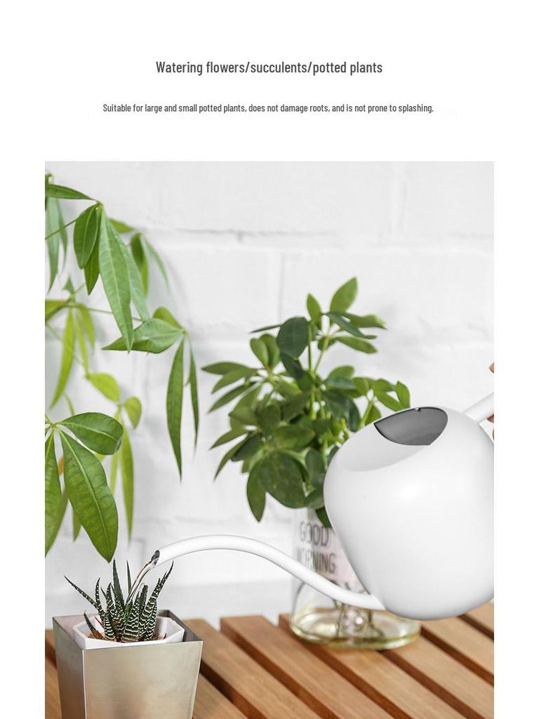 Stainless Steel Long-Spout Watering Can with Misting Sprayer for Gardens