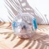 Pet Outdoor Sport Ball Plastic Toy New Grounder