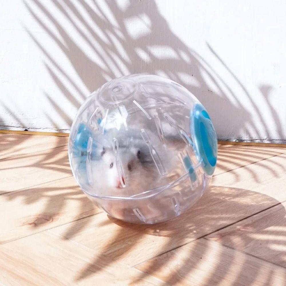 Pet Outdoor Sport Ball Plastic Toy New Grounder