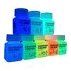 Glow in the Dark Paint,Acrylic Paint for Decorations,Art Painting Rich Pigments