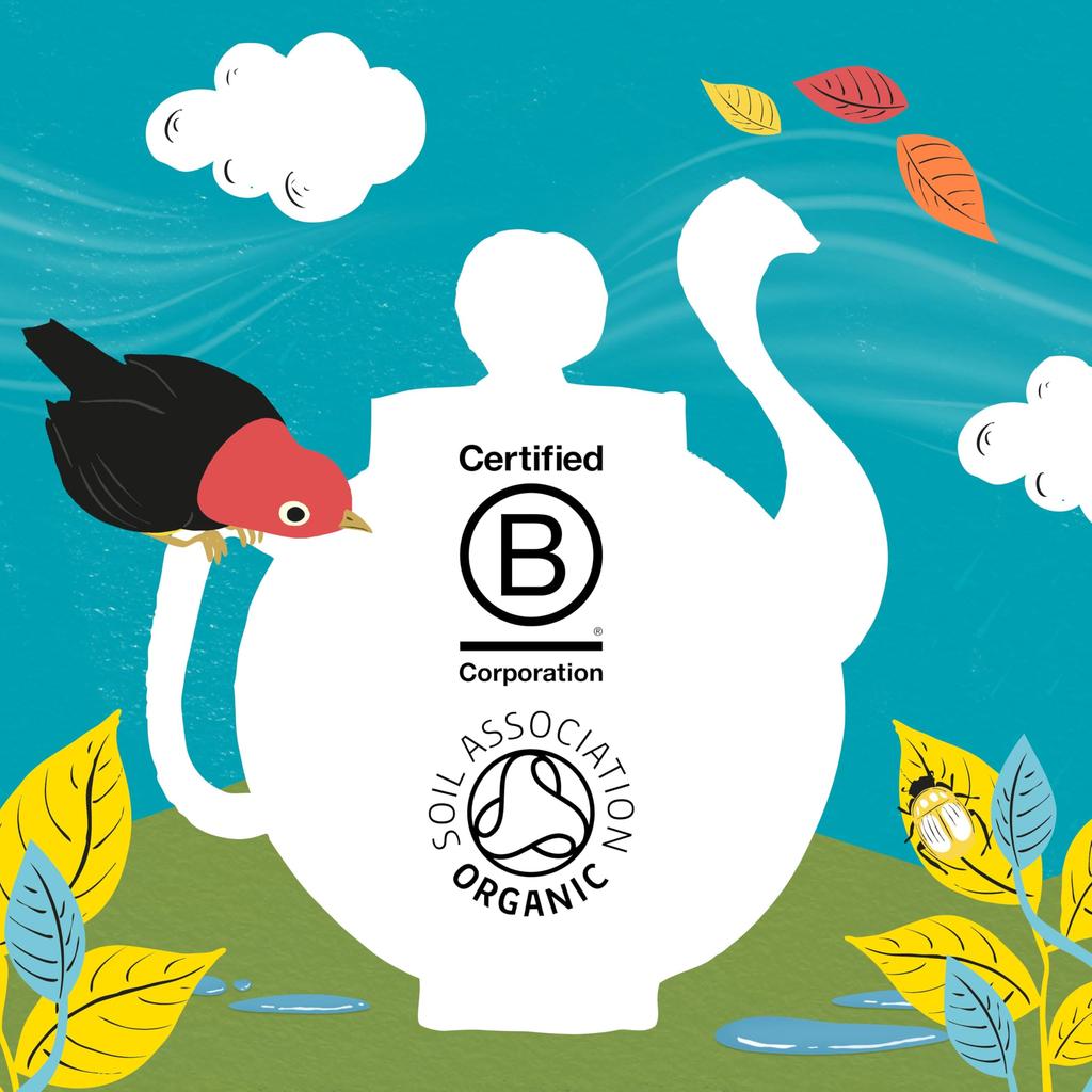 Clipper Assorted Herbal Tea 20P