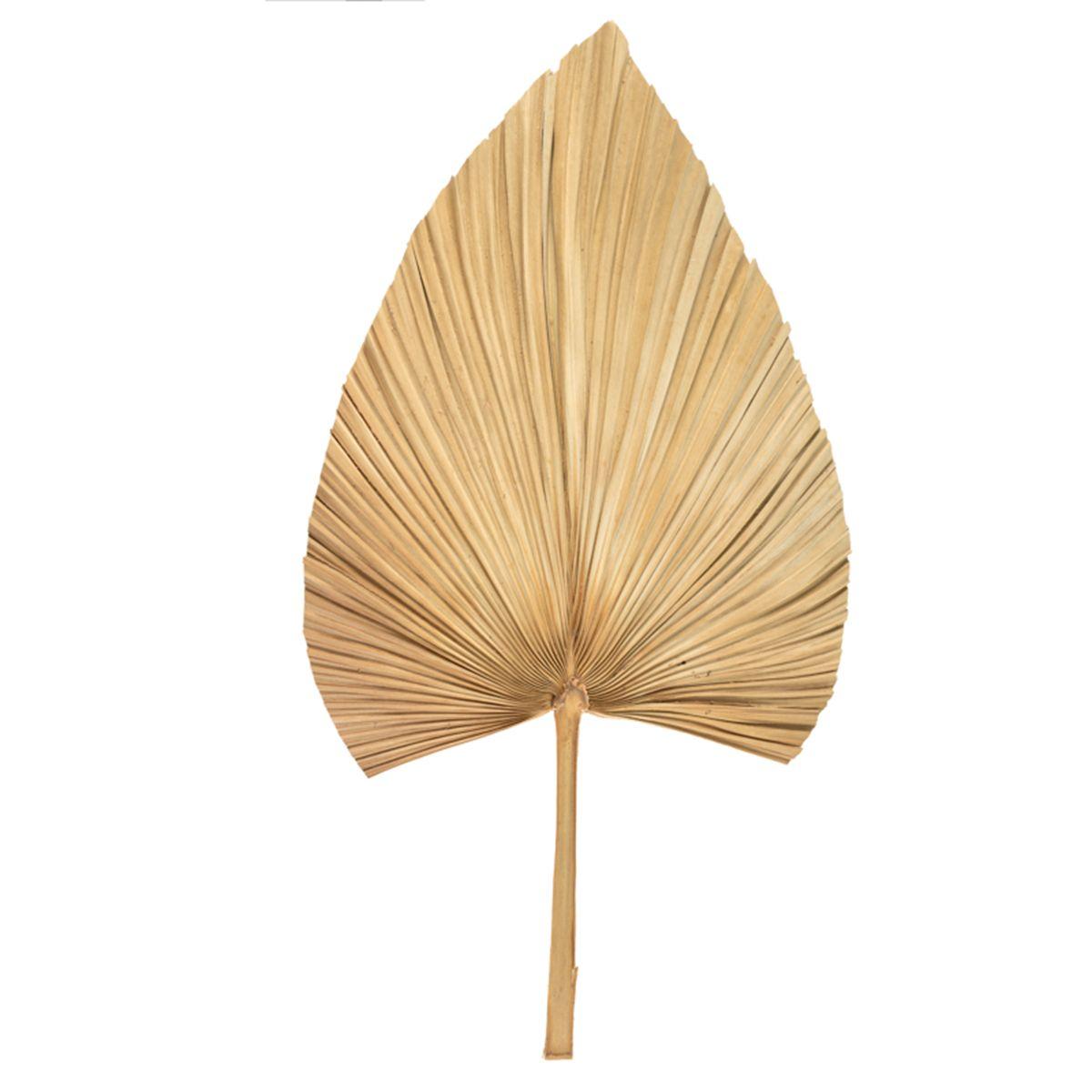 

Декор для дома Тропический Богемный Бохо Отделка Листьями Веер Лист Сушеное Растение Пальмовые Копья 1Pc