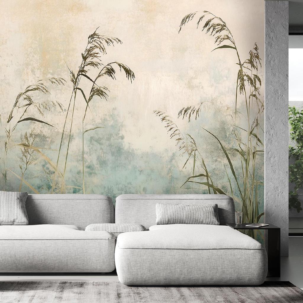 Wallpaper Grasses and plants