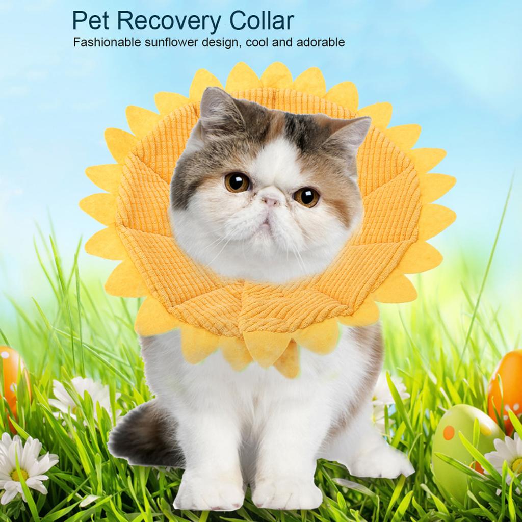 Fashionable Pet Recovery Collar Puppy Dog Cat Wound Healing (22-24cm)