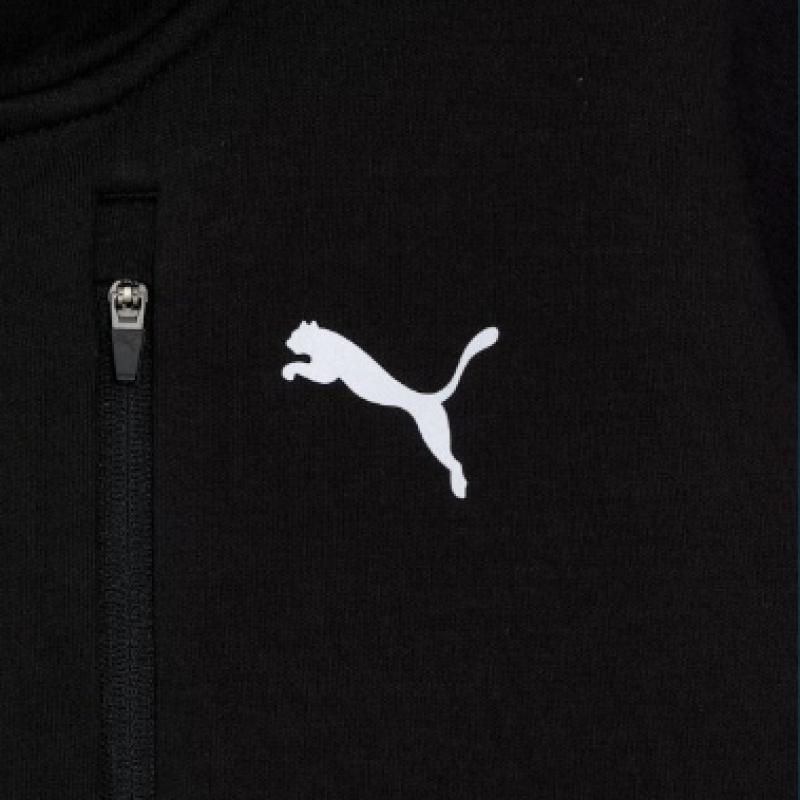 Puma Autumn Winter Training Zip Up Sportswear Pumatech Full Zip Hoodie Dk