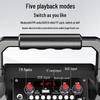 Newman K503 Portable Bluetooth Karaoke Speaker CN plug (adapter included)