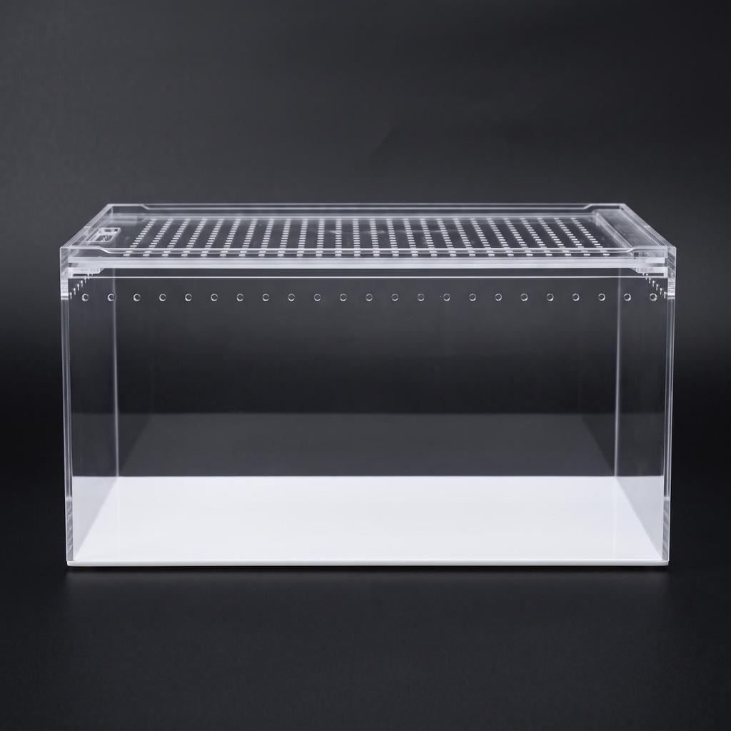 Transparent Reptile Terrarium | Ventilated Top Panel, Enclosure, for