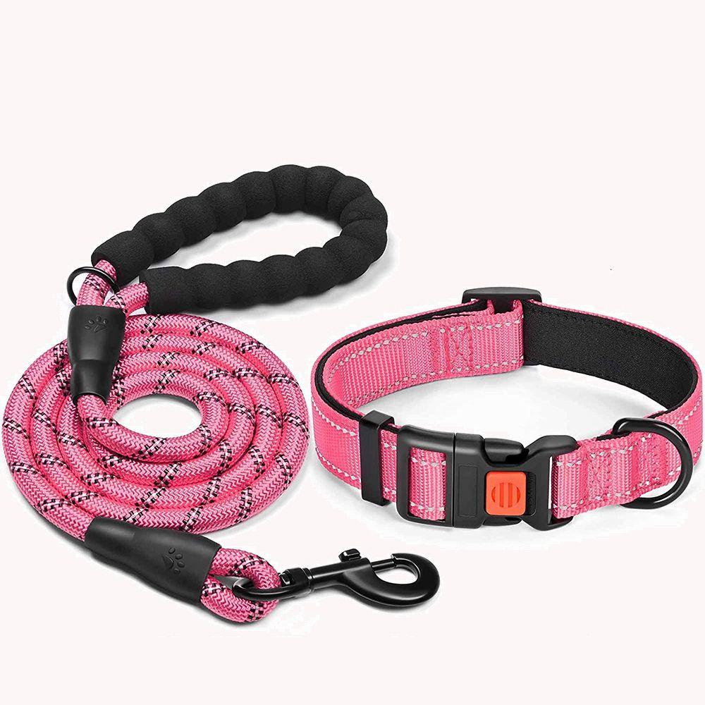 nylon dog lead