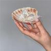 Bohemian Thorn Design Ring White Resin Starfish Shell Creative Seaside Jewelry for Women Daily Casual Wear
