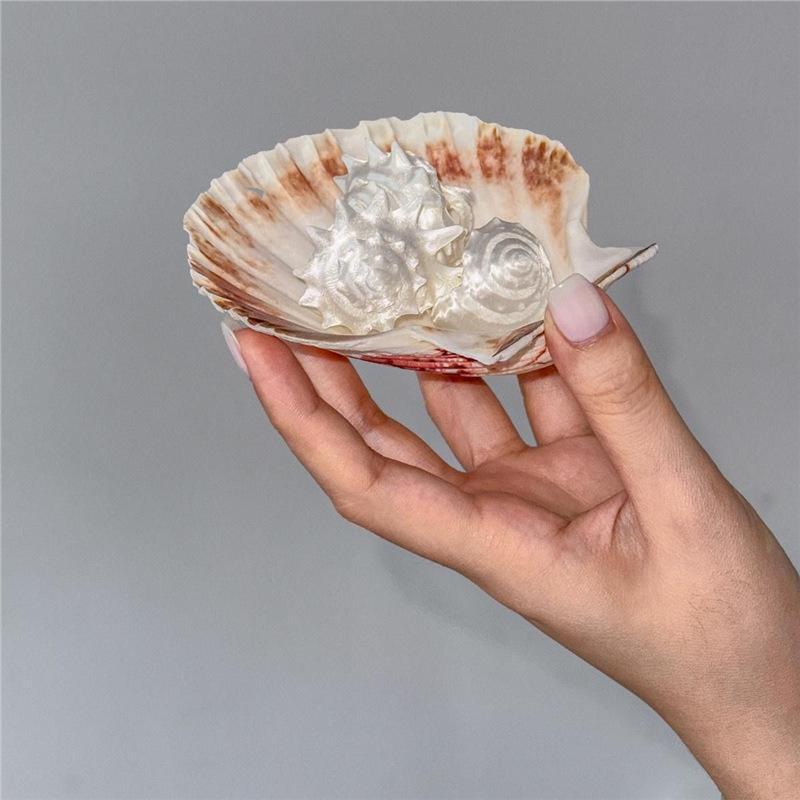 Bohemian Thorn Design Ring White Resin Starfish Shell Creative Seaside Jewelry for Women Daily Casual Wear