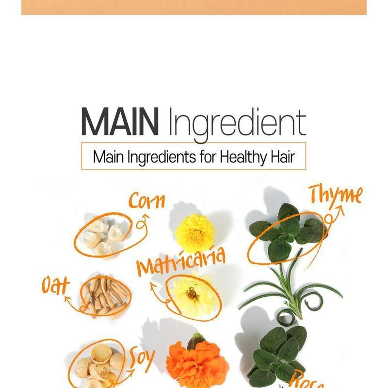 Elizavecca - Cer-100 Collagen Coating Hair A+ Muscle Essence