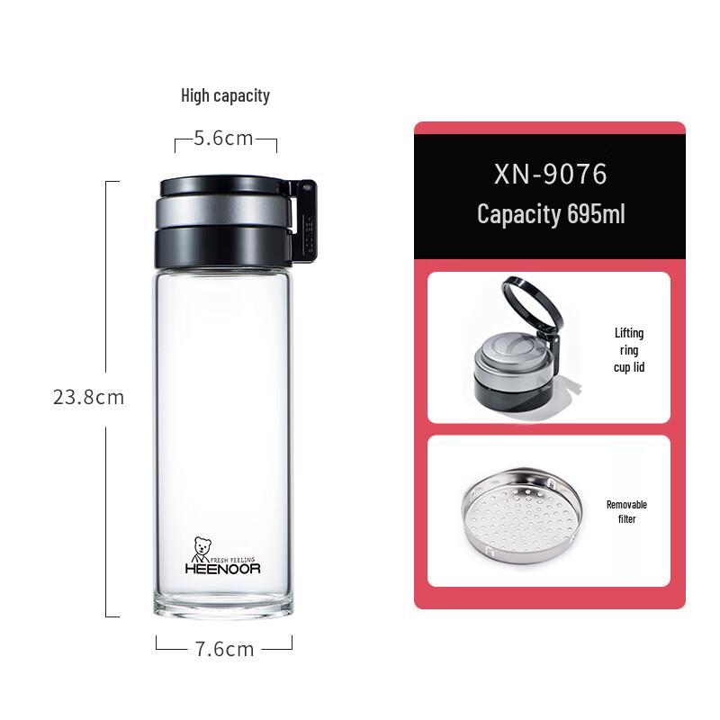 Heenoor Portable Glass Water Bottle with Tea Infuser and Handle