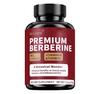 Berberine Supplement 27 In 1 with Ceylon Cinnamon And Milk Thistle,Berberine Plus for Immune, Liver And Intestinal Health, Weight Control