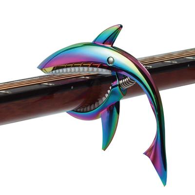 Gitar Aksesuarları – Gitar Kaposları