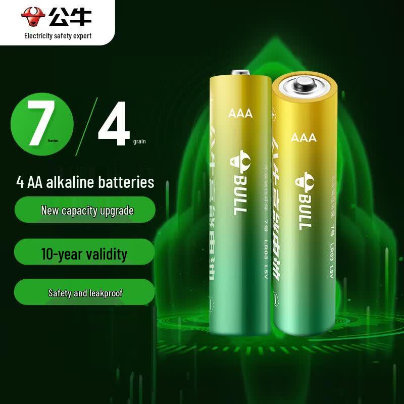 BULL AA + AAA Alkaline Battery Mixed Pack (4-count) CN plug (adapter included)
