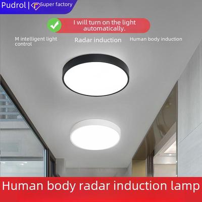 Radar-Induction Ceiling Lamp with Voice Control for Stairs, Corridors, Aisles, and Garages