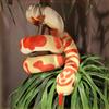 Simulation Cartoon Python Plush Toys Long Pillow Stuffed Animal Realitisc Snake Giant Boa Halloween Decor Kids Boys Funny Gifts