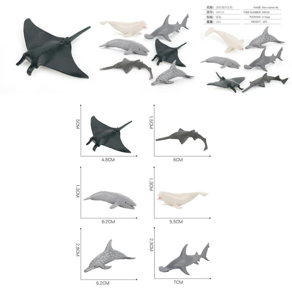 Pvc Ocean Life Dolphin Devil Fish Beluga Shark Realistic Model Collectible Display Figurine