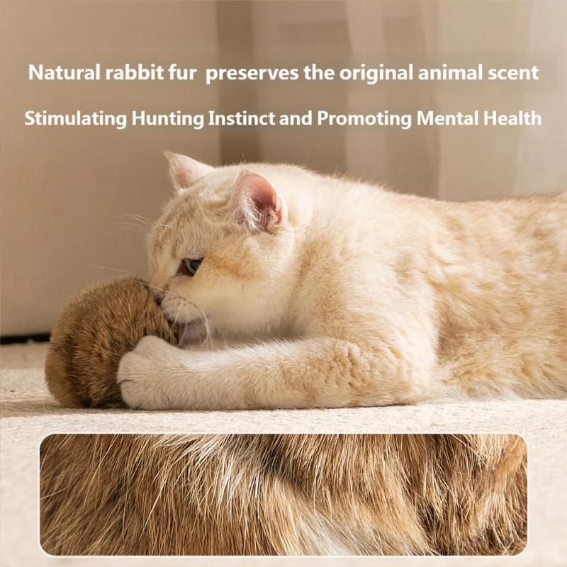 Biodegradables Cotton Cats Rolling Ball Toy Ensuring Quiet Operations For Night Entertainment And Pet Safety