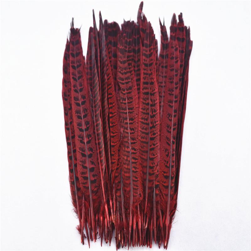 10Pcs Pheasant Tail Feathers Table Decoration Crafts Supplies Plumas DIY Dream Catcher for Wedding Carnival Accessories Material